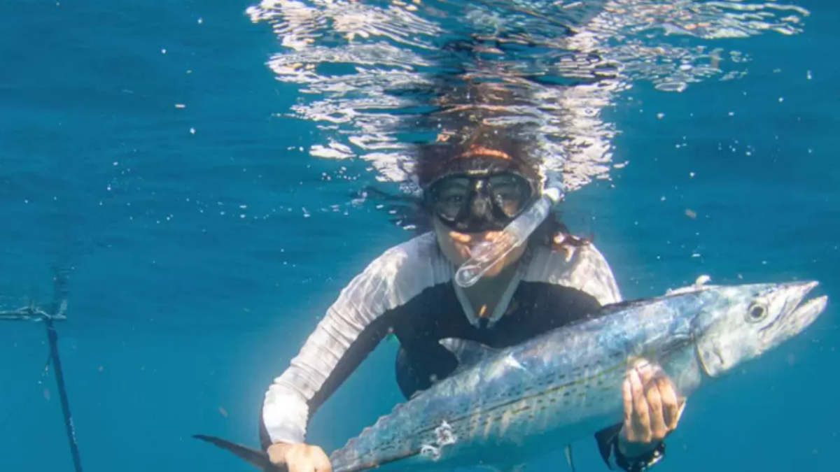 Aventuras bajo el agua: los mejores rincones para la pesca submarina en Nicaragua