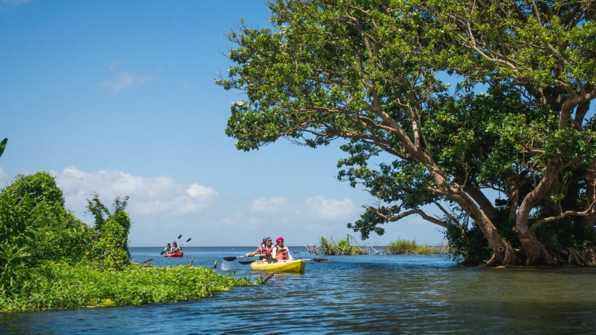 Río Istiam: Un refugio natural para el avistamiento de aves en Ometepe, Nicaragua