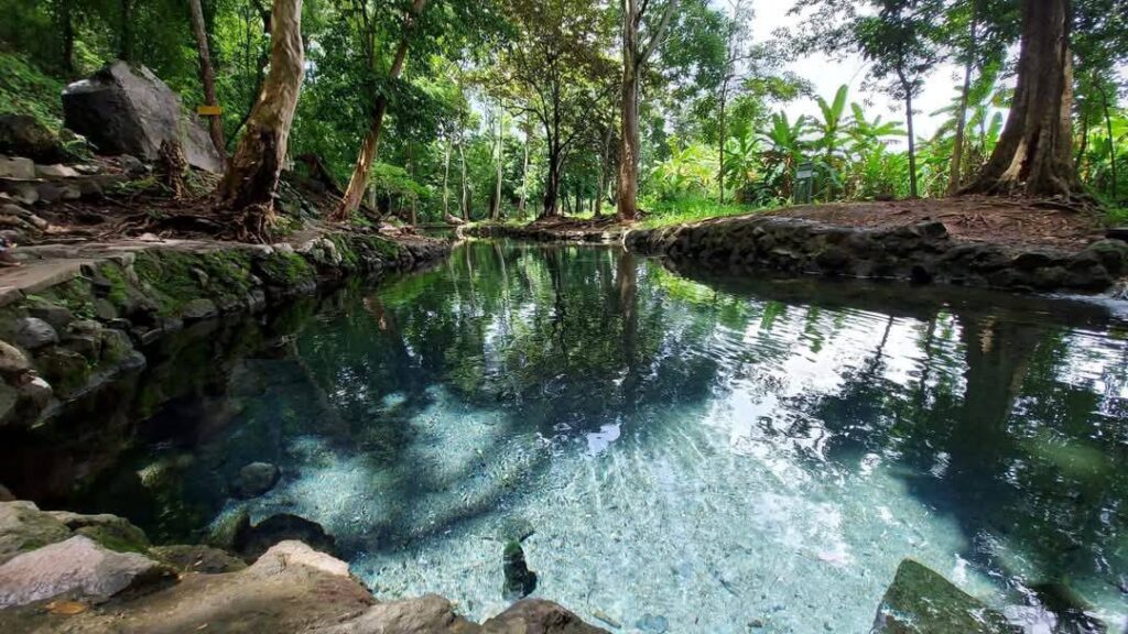 Descubre Aguas Agrias un paraíso escondido en las faldas del Volcán Mombacho